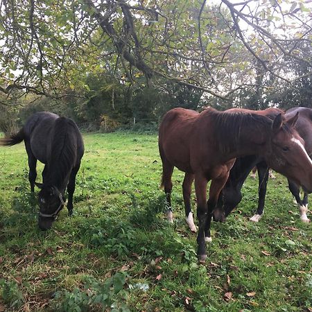 Suite Factory : Gite De Charme En Avesnois Wargnies-le-Petit المظهر الخارجي الصورة